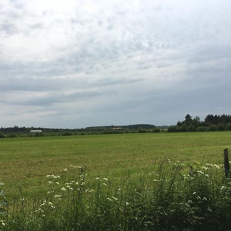 Skovhuset Villa Uggerby Buitenkant foto