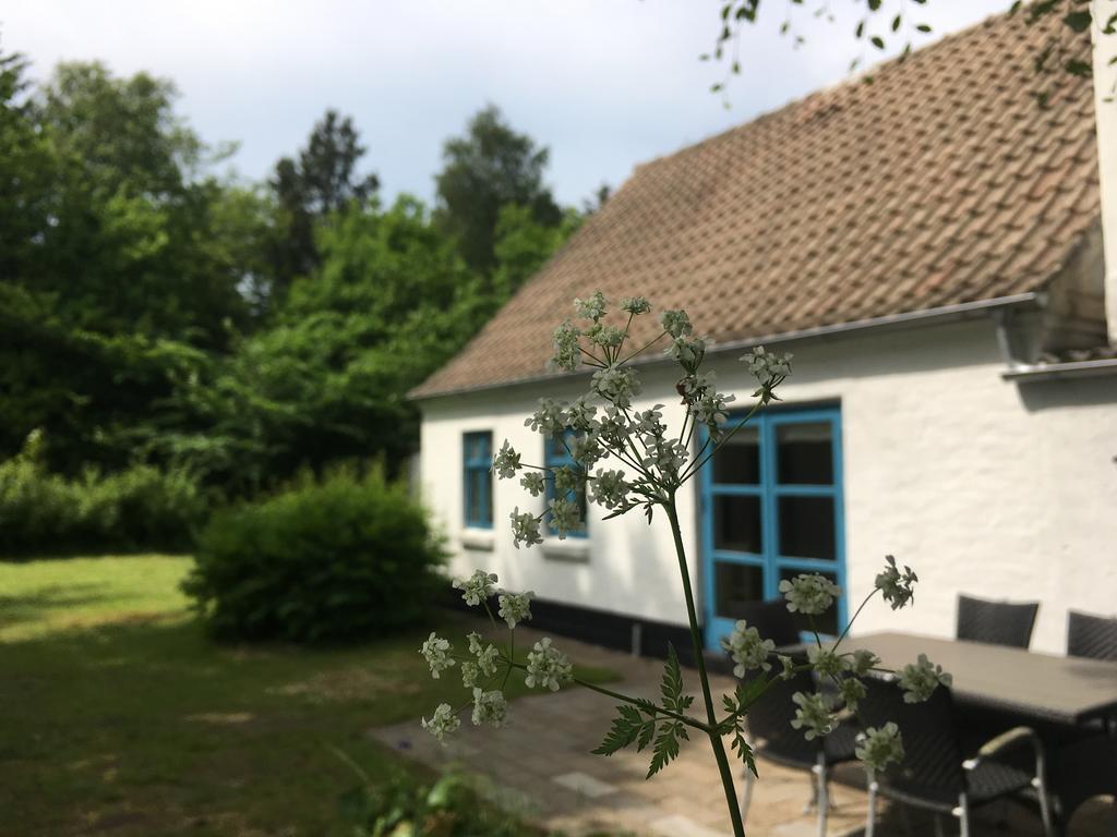 Skovhuset Villa Uggerby Buitenkant foto